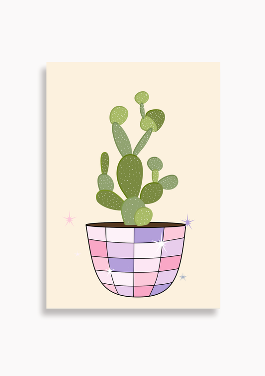 Discokaktus rosa - Poster