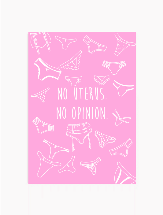 no uterus. no opinion. pink - Poster